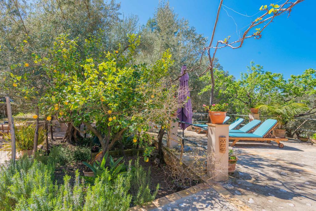 Villa Mateu Biniaraix